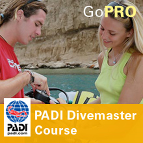 Divemaster - Part Time